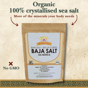 Baja Salt - Mexican Mineral Sea Salt from the Sea of Cortez 450g