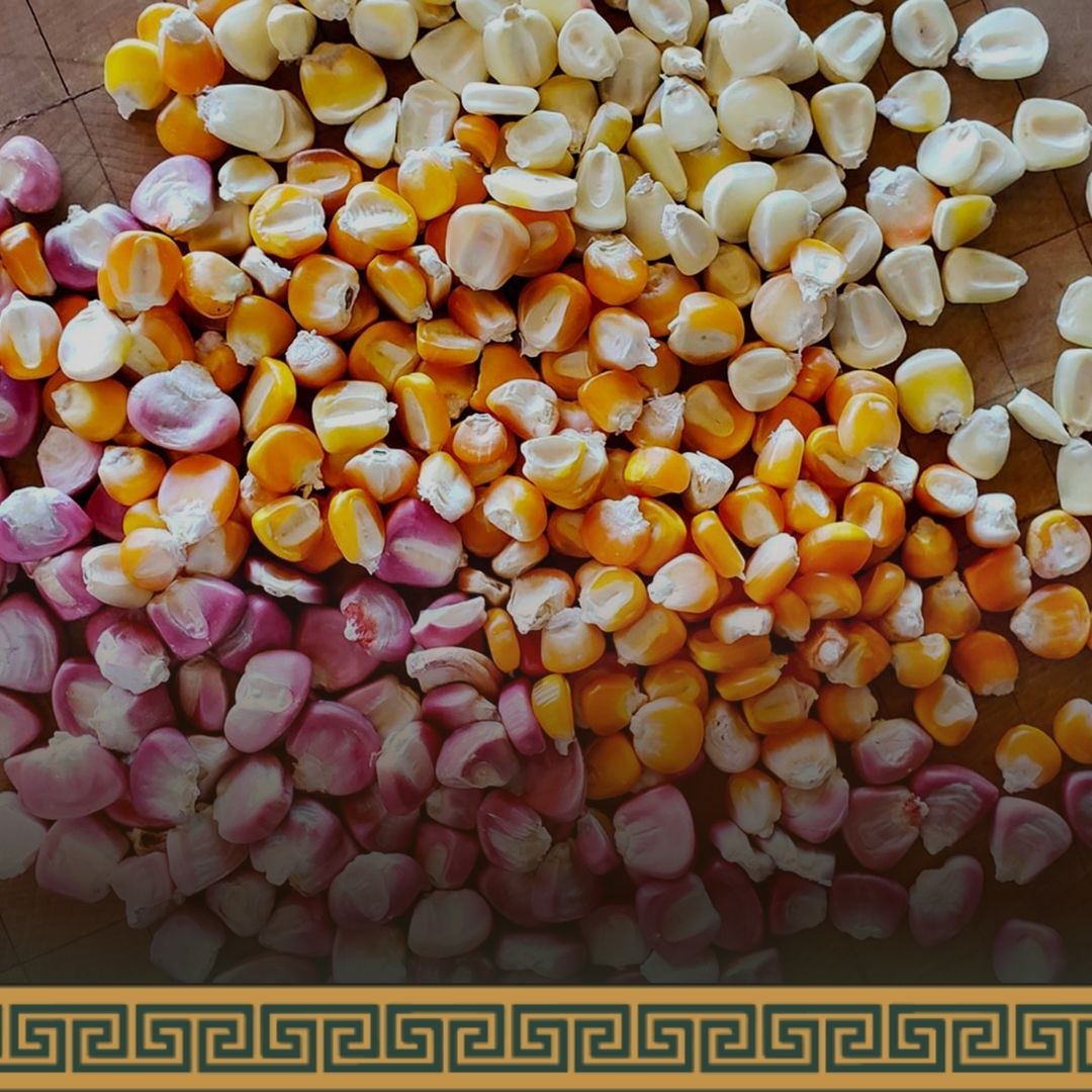 Limestone for Nixtamalization - Calcium Hydroxide 900g- Corn