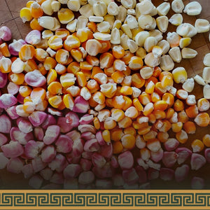 Limestone for Nixtamalization - Calcium Hydroxide 900g- Corn